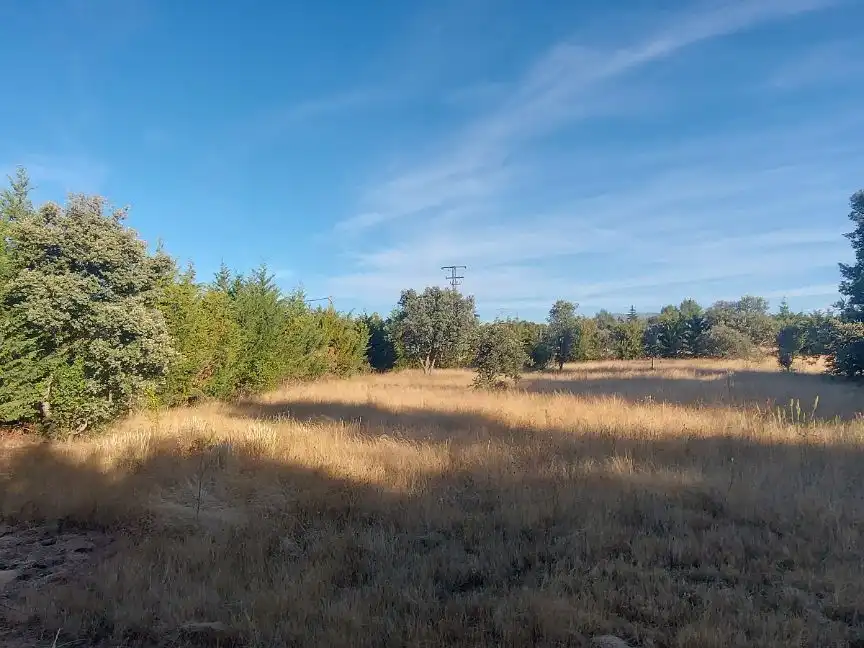 Pis en venda a Fresno de Cantespino Pis en venda en Fresno de Cantespino amb Jardí privat, Terrassa i Traster