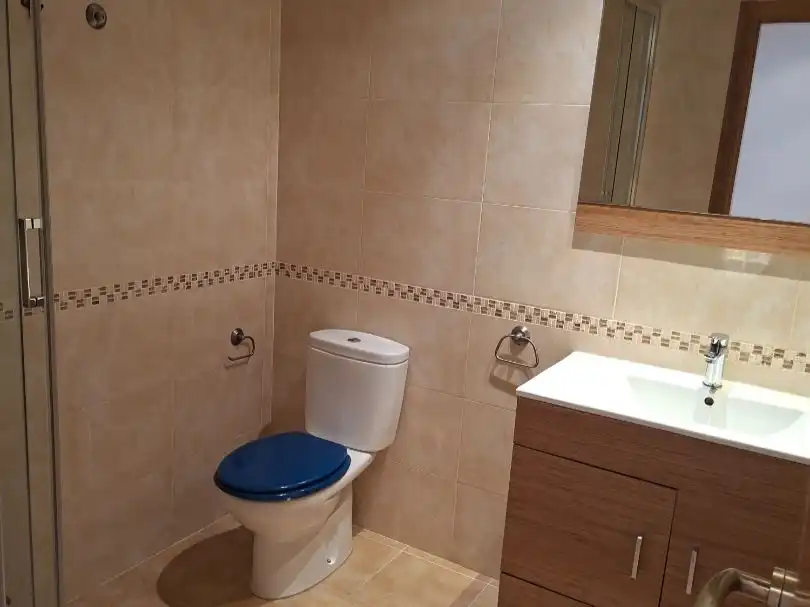 Flat for rent in Calle de las Cuatro Calles, 1, San Agustín del Guadalix pueblo Bathroom of Flat for rent in San Agustín del Guadalix with Heating and Terrace