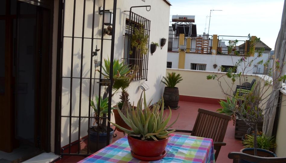 Flat for rent in Calle Goles, 26, San Vicente, Sevilla Capital - image 1 Photo 1 of Flat for rent in Calle Goles, 26, San Vicente, Sevilla Capital