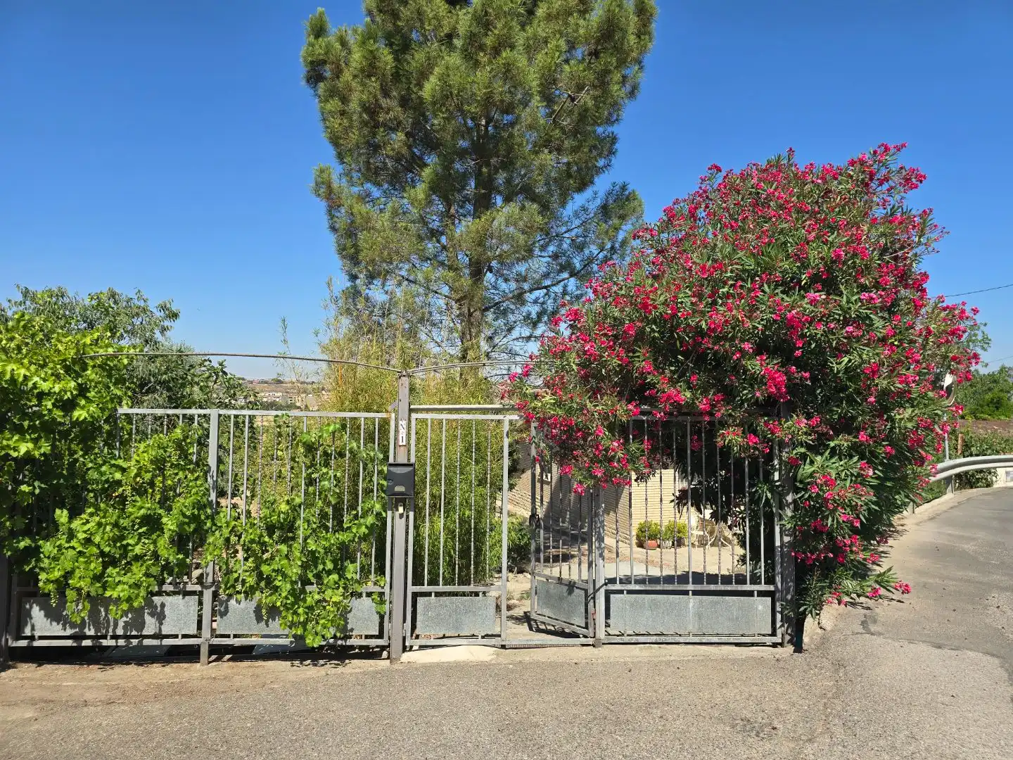 Casa o chalet en venta en Carrer Alguer, 1, Vallfogona de Balaguer Casa o chalet en venta en Carrer Alguer, 1, Vallfogona de Balaguer