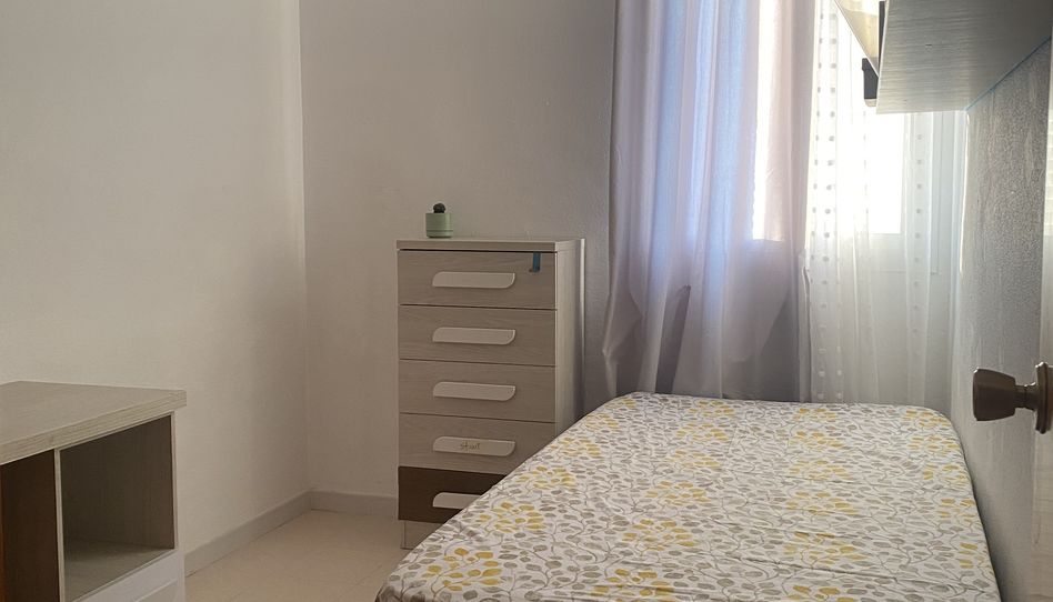 Zimmer in Carrer el Palmeral, 92, Heliópolis, Benicasim / Benicàssim - Bild 1 Foto 1 von Zimmer in Carrer el Palmeral, 92, Heliópolis, Benicasim / Benicàssim