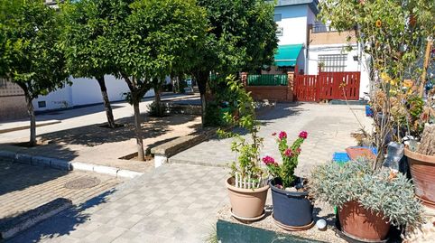 Piso en venta en Calle Rosalía de Castro, 11, Santiponce, Sevilla - imagen 4 Foto 4 de Piso en venta en Calle Rosalía de Castro, 11, Santiponce, Sevilla