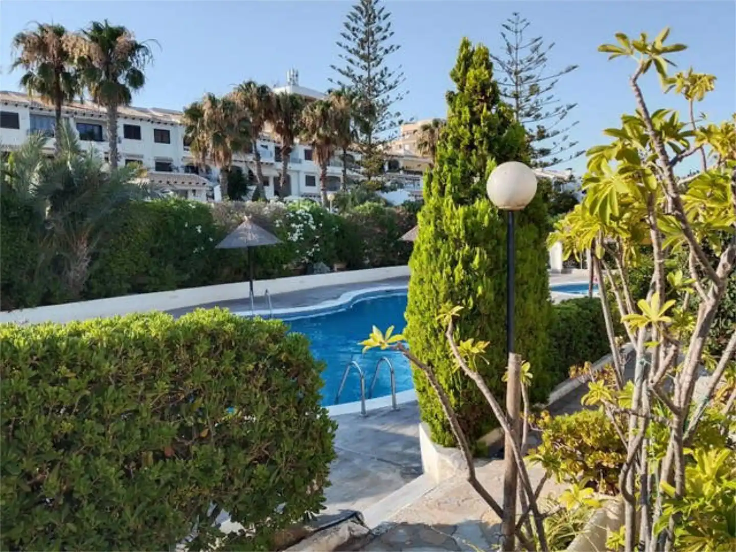 Flat for rent in Cabo Roig Swimming pool of Flat for rent in Orihuela with Private garden, Terrace and Swimming Pool