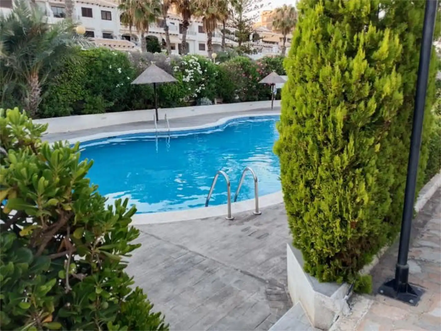 Flat for rent in Cabo Roig Swimming pool of Flat for rent in Orihuela with Private garden, Terrace and Swimming Pool