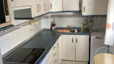 Flat for rent in Calle Godofredo Ortega y Muñoz, 39, Valdepasillas - La Paz - Huerta Rosales, Badajoz Capital - image 3 Photo 3 of Flat for rent in Calle Godofredo Ortega y Muñoz, 39, Valdepasillas - La Paz - Huerta Rosales, Badajoz Capital