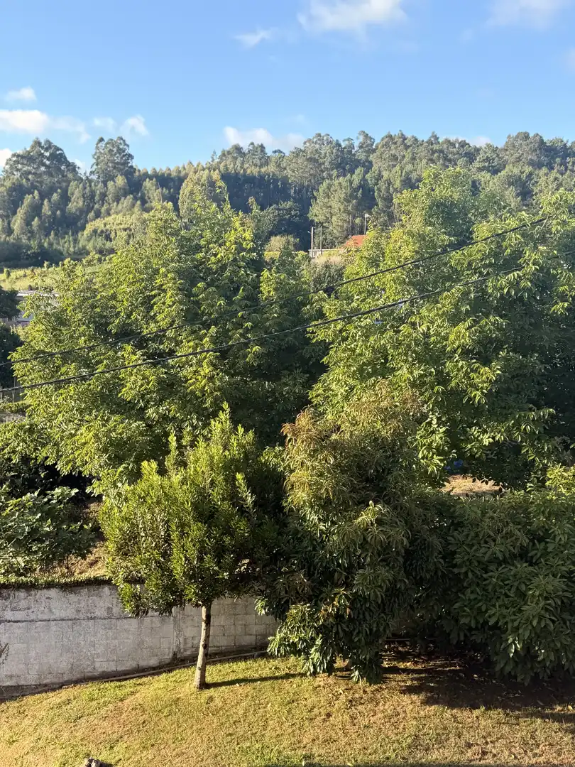Wohnung zur Miete in Pontedeume mit Terrasse, Möbliert und Gemeinschaftsparkplatz