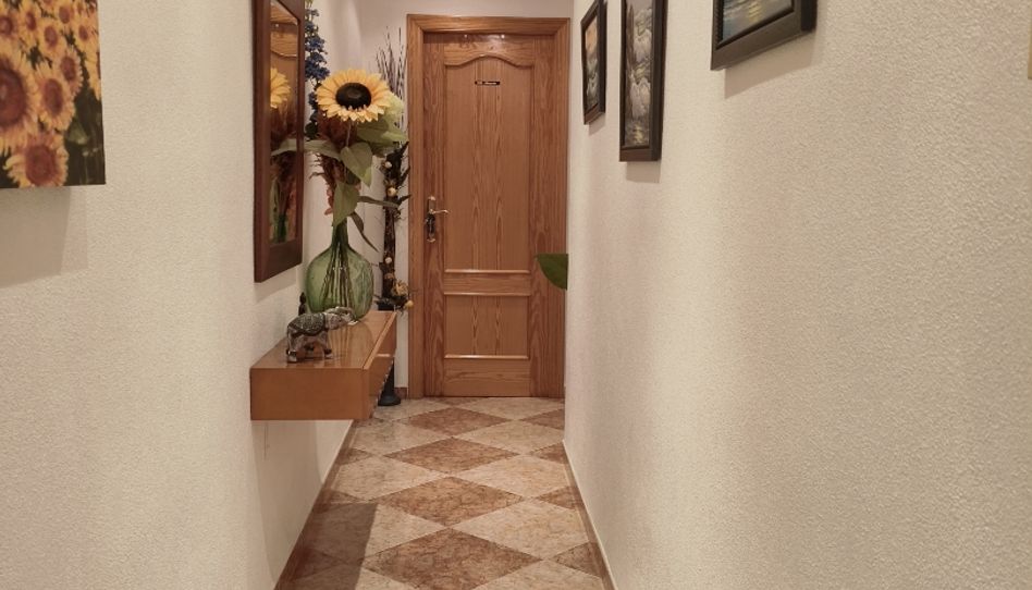 Flat for rent in Calle Maximiliano Garcia Soriano, 62, Fraternidad, Elda - image 1 Photo 1 of Flat for rent in Calle Maximiliano Garcia Soriano, 62, Fraternidad, Elda
