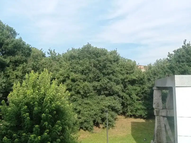 Flat for rent in Rúa das Salvadas, 23, Campus Norte - San Caetano Flat for rent in Santiago de Compostela with Heating, Parquet flooring and Furnished