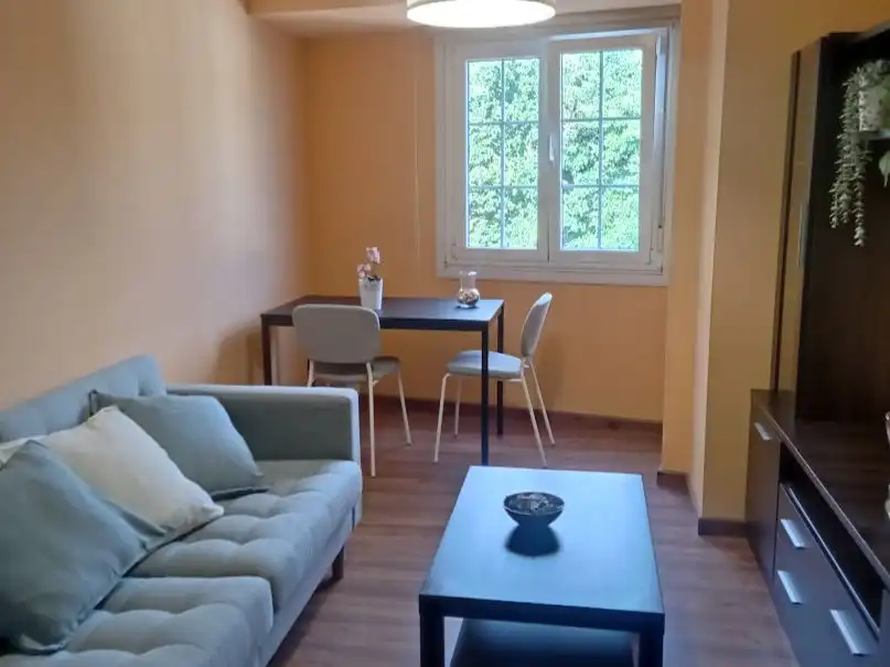 Flat for rent in Rúa das Salvadas, 23, Campus Norte - San Caetano Living room of Flat for rent in Santiago de Compostela with Heating, Parquet flooring and Furnished