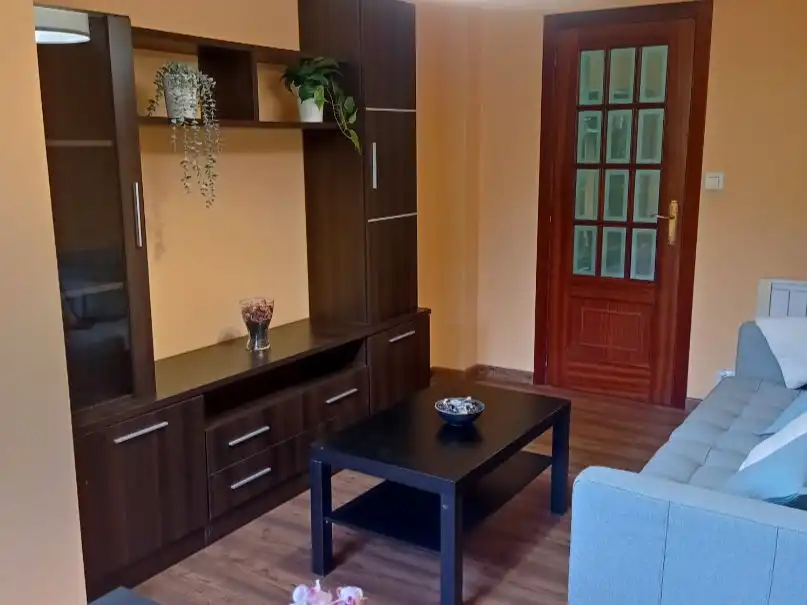 Flat for rent in Rúa das Salvadas, 23, Campus Norte - San Caetano Living room of Flat for rent in Santiago de Compostela with Heating, Parquet flooring and Furnished