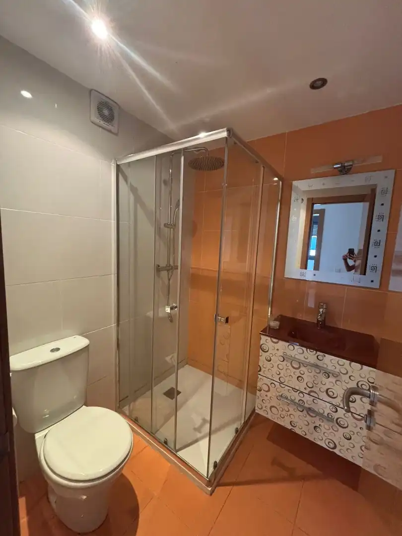 Piso de alquiler en Calle Emilia Pardo Bazán, 12, El Carbayedo - El Quirinal Baño de Piso de alquiler en Avilés con Trastero