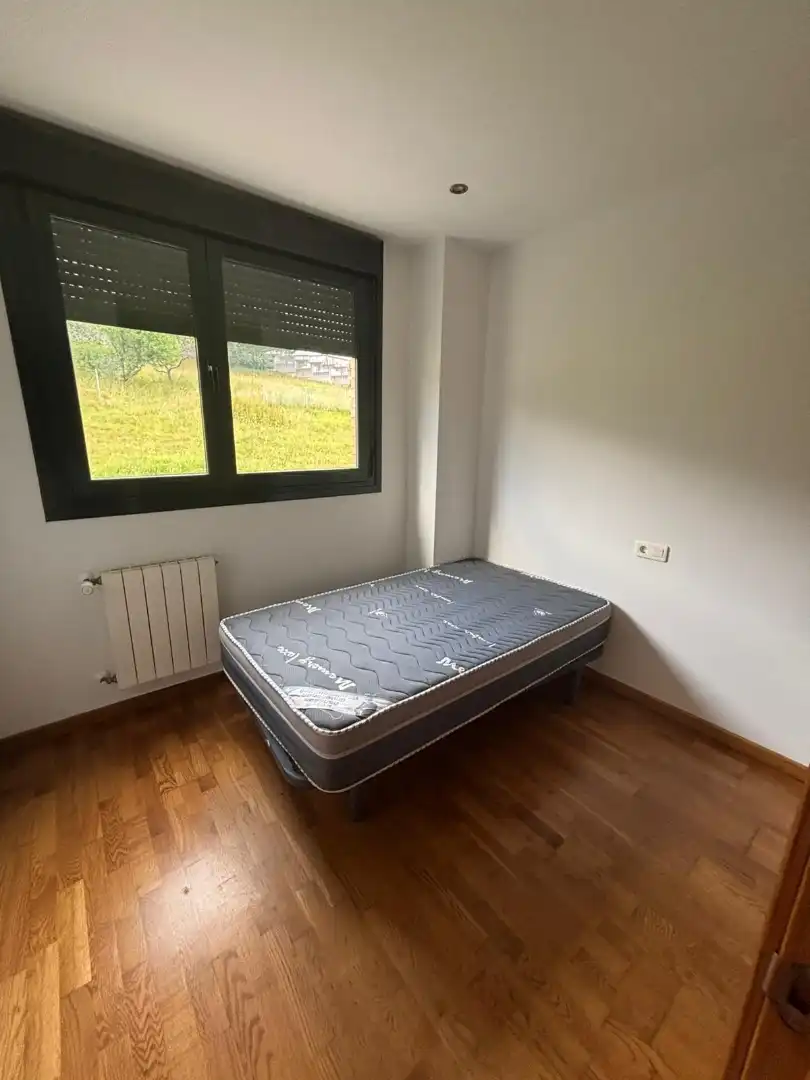 Piso de alquiler en Calle Emilia Pardo Bazán, 12, El Carbayedo - El Quirinal Habitación de Piso de alquiler en Avilés con Trastero