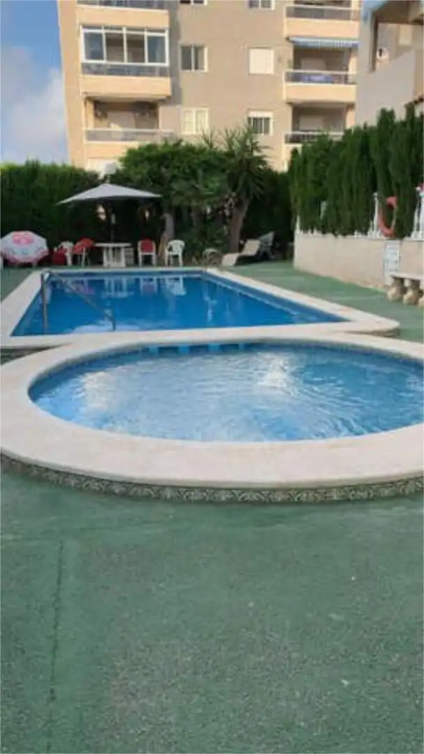 Swimming pool of Houses for rent in Torrevieja  with Terrace and Swimming Pool