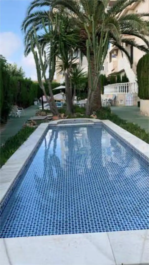 Swimming pool of Houses for rent in Torrevieja  with Terrace and Swimming Pool