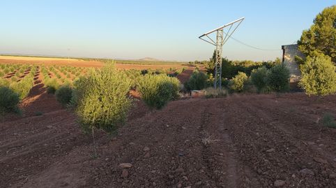 Flat for sale in Calle Jacinto Benavente, 36, Villanueva de los Infantes (Ciudad Real), Ciudad Real - image 5 Photo 5 of Flat for sale in Calle Jacinto Benavente, 36, Villanueva de los Infantes (Ciudad Real), Ciudad Real