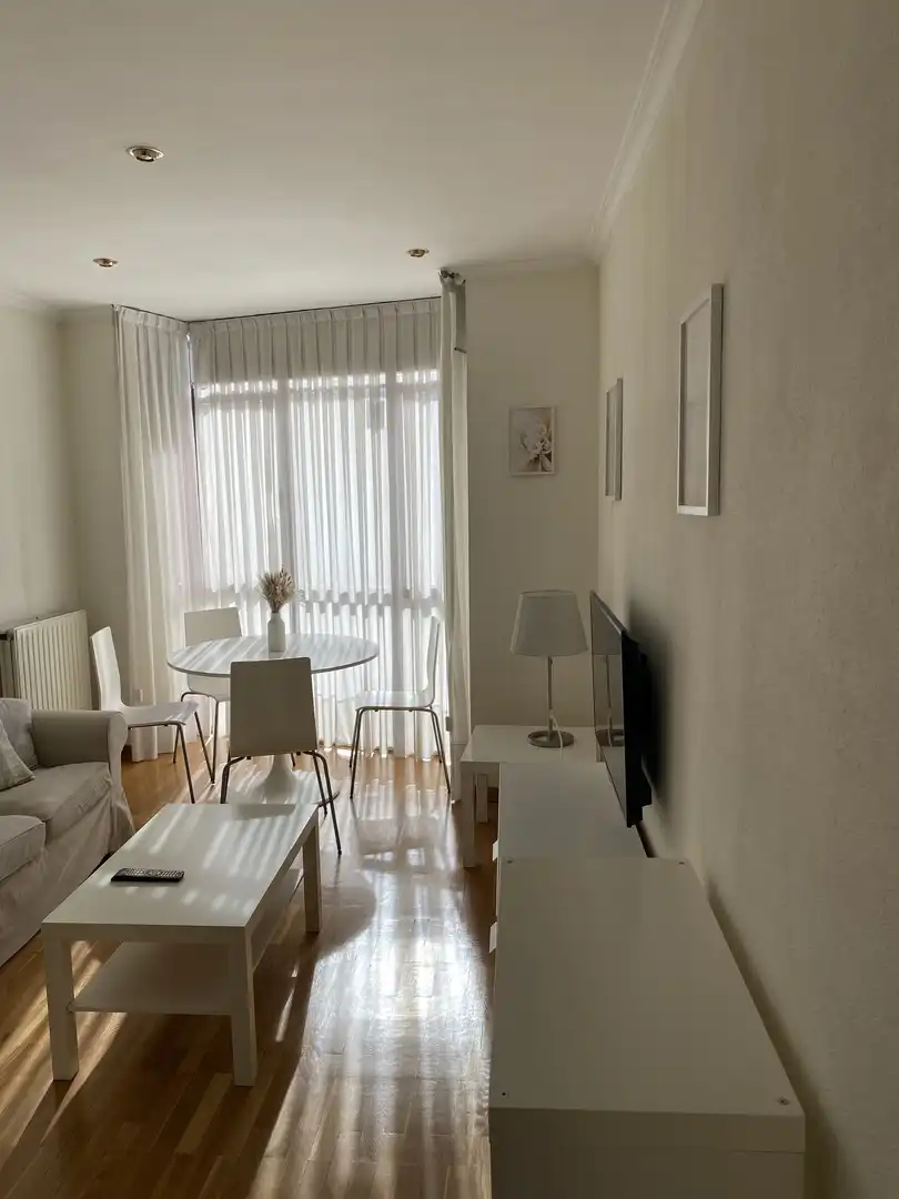 Living room of Flat for rent in  Madrid Capital  with Air Conditioner and Balcony