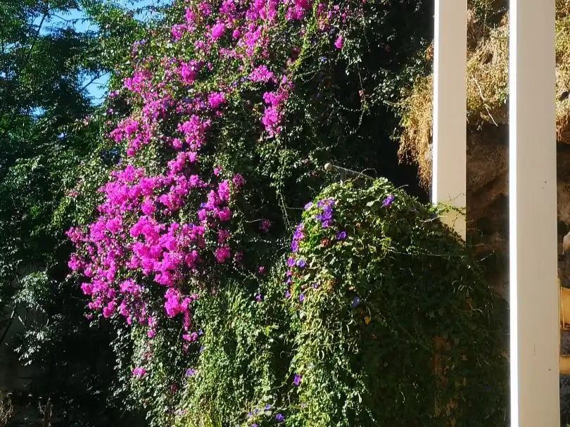 Jardí de Apartament de lloguer en Torremolinos amb Aire condicionat i Piscina