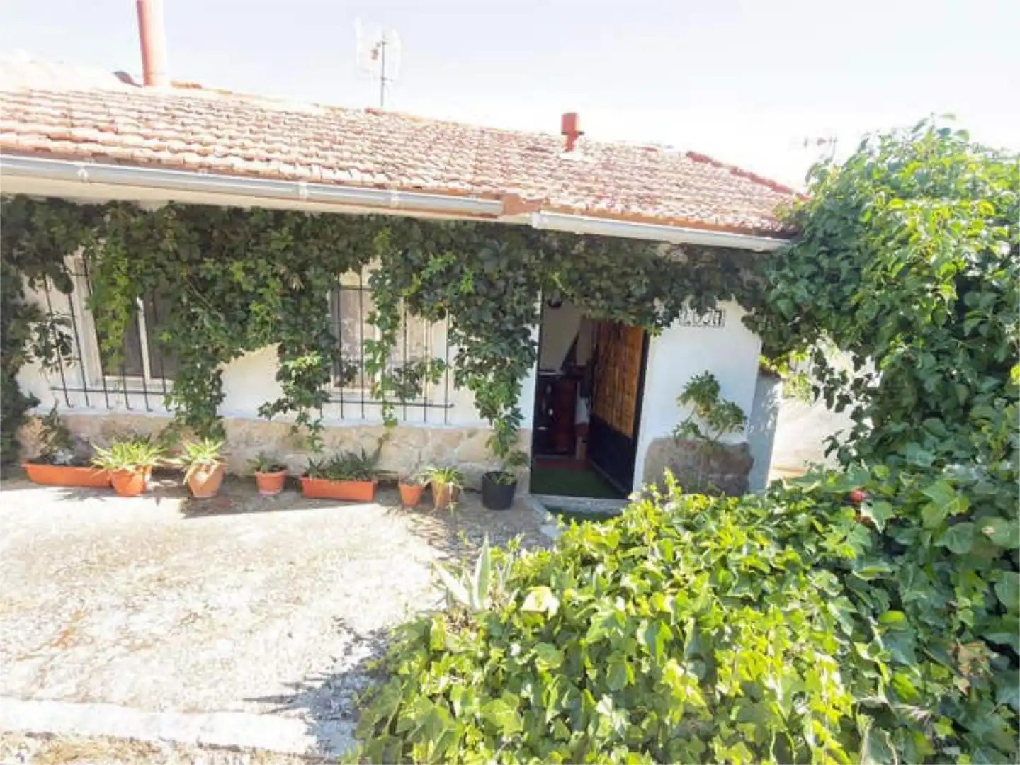 Casa o chalet en venta en Becerril de la Sierra Vista exterior de Casa o chalet en venta en Becerril de la Sierra con Terraza y Piscina