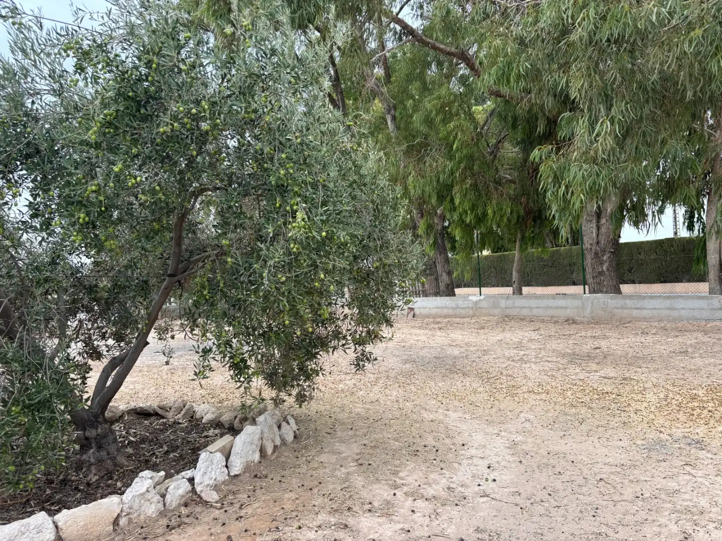 Finca rústica en venda a Partida Maitino, 1051, Perleta - Maitino Finca rústica en venda en Elche / Elx amb Aire condicionat, Calefacció i Jardí privat