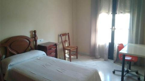 Apartments for rent in Osuna, Sevilla - image 4 Photo 4 of Apartments for rent in Osuna, Sevilla