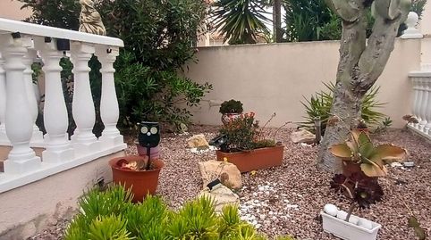 Piso de alquiler en Calle Lebeche, 6, Miramar - Torre del Moro, Torrevieja - imagen 4 Foto 4 de Piso de alquiler en Calle Lebeche, 6, Miramar - Torre del Moro, Torrevieja