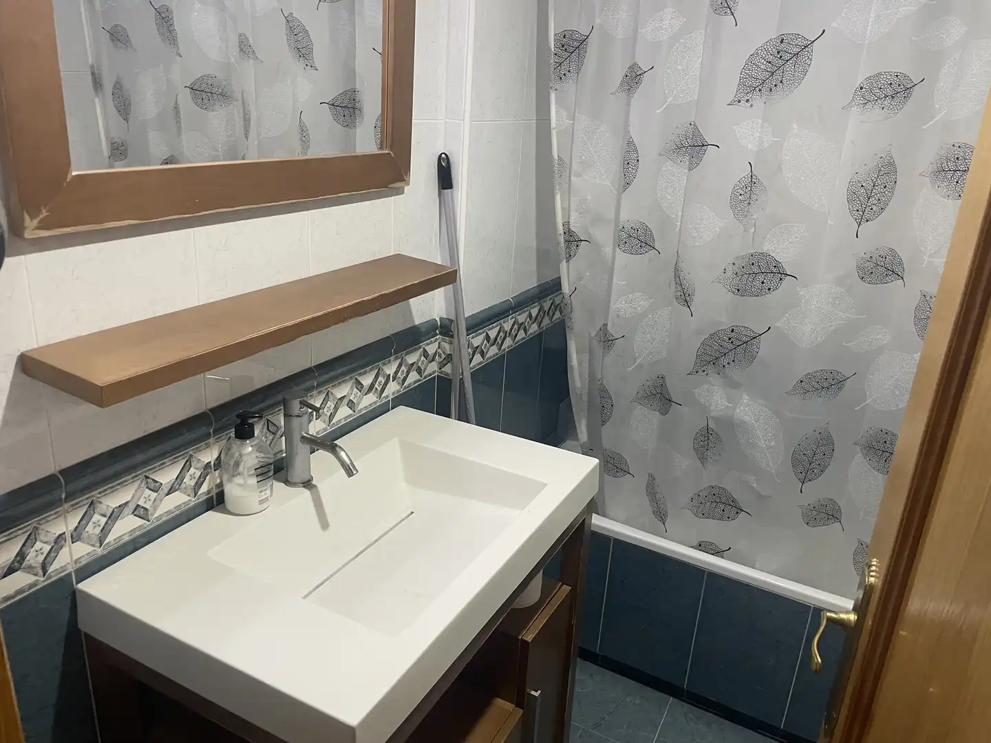 Baño de Piso de alquiler en Alcázar de San Juan con Calefacción, Jardín privado y Parquet