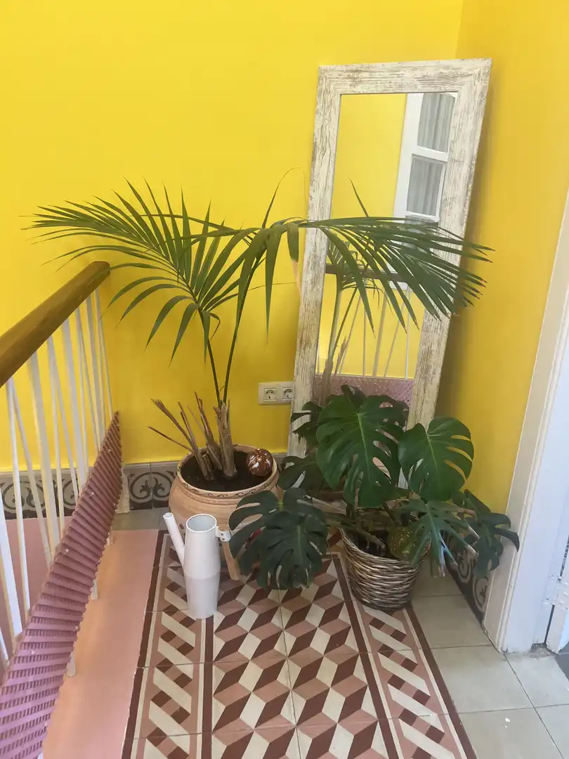 Terraza de Casa o chalet en venta en La Orotava con Jardín privado, Parquet y Terraza