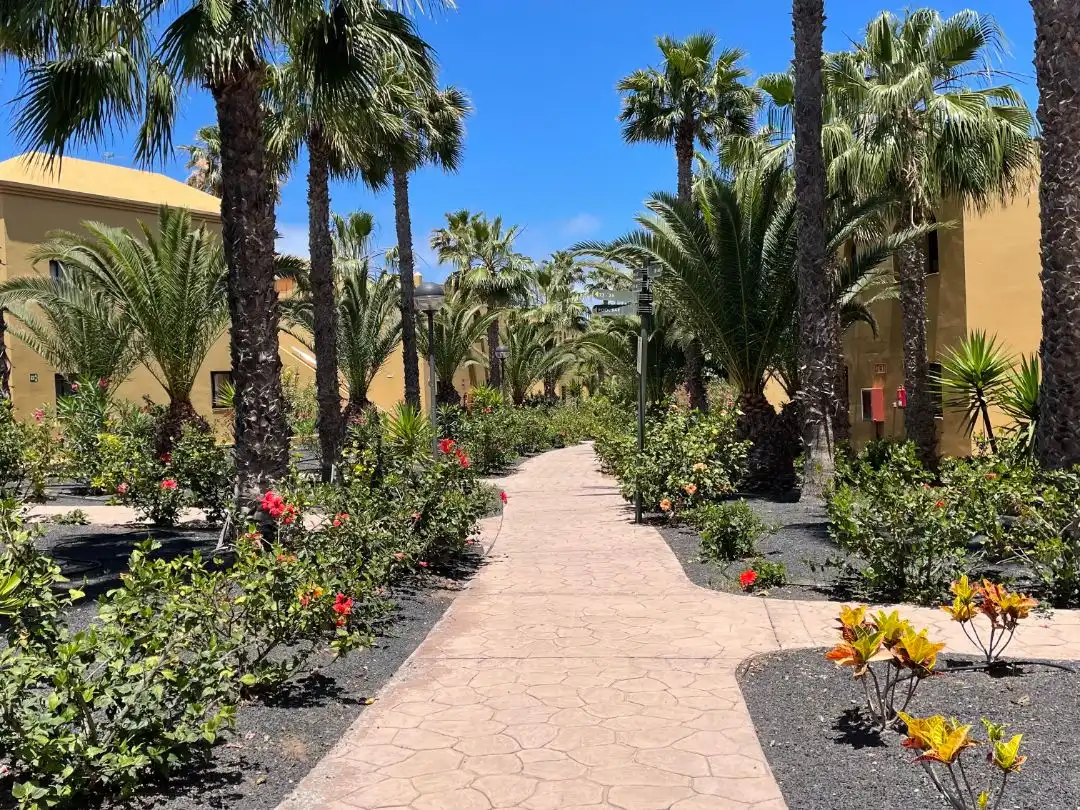 Apartamento de alquiler en Calle Pedro y Guy Vandaele, 19, Corralejo Vista exterior de Apartamento de alquiler en La Oliva con Aire acondicionado, Jardín privado y Terraza
