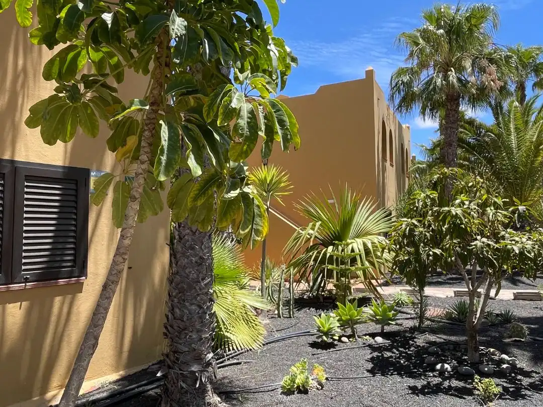 Apartamento de alquiler en Calle Pedro y Guy Vandaele, 19, Corralejo Vista exterior de Apartamento de alquiler en La Oliva con Aire acondicionado, Jardín privado y Terraza