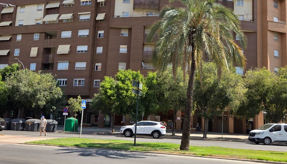 Wohnung zur Miete in Avenida Sinforiano Madroñero, 14, Valdepasillas - La Paz - Huerta Rosales, Badajoz Capital - Bild 1 Foto 1 von Wohnung zur Miete in Avenida Sinforiano Madroñero, 14, Valdepasillas - La Paz - Huerta Rosales, Badajoz Capital