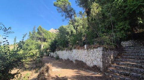 Country homes for sale in Paseo Solar, 45, Cazorla, Jaén - image 3 Photo 3 of Country homes for sale in Paseo Solar, 45, Cazorla, Jaén