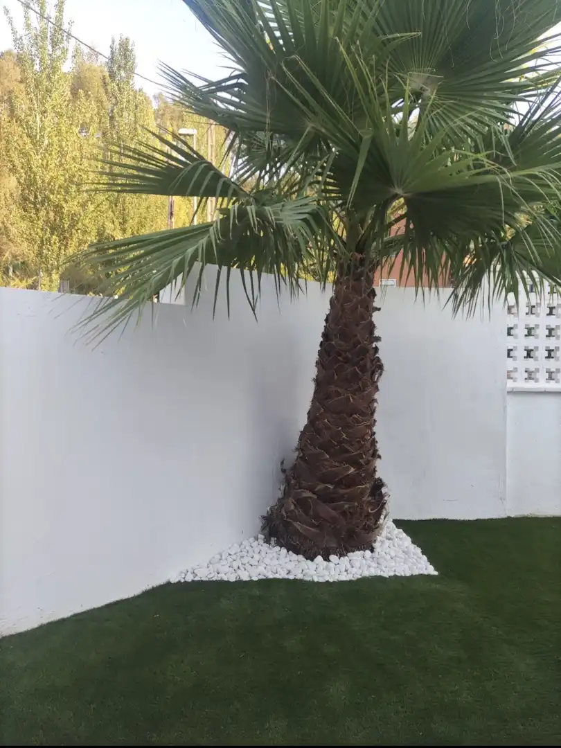 Houses for sale in Carrer Pont, 6, Cervelló Garden of Houses for sale in Cervelló with Heating, Private garden and Furnished