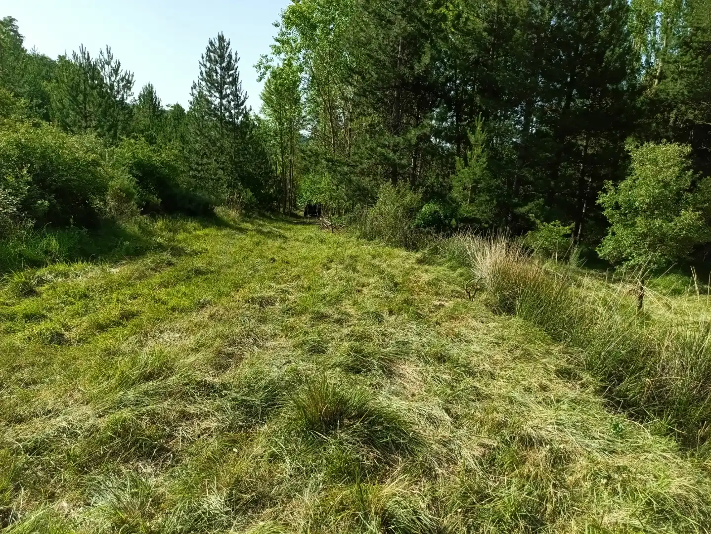 Terreno en venta en Lerga
