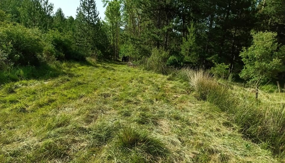 Land for sale in Calle San Francisco Javier, 3, Lerga, Navarra - image 1 Photo 1 of Land for sale in Calle San Francisco Javier, 3, Lerga, Navarra