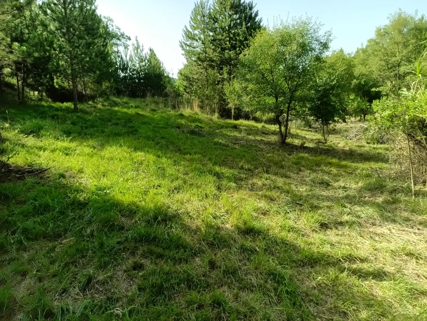 Terreno en venta en Lerga