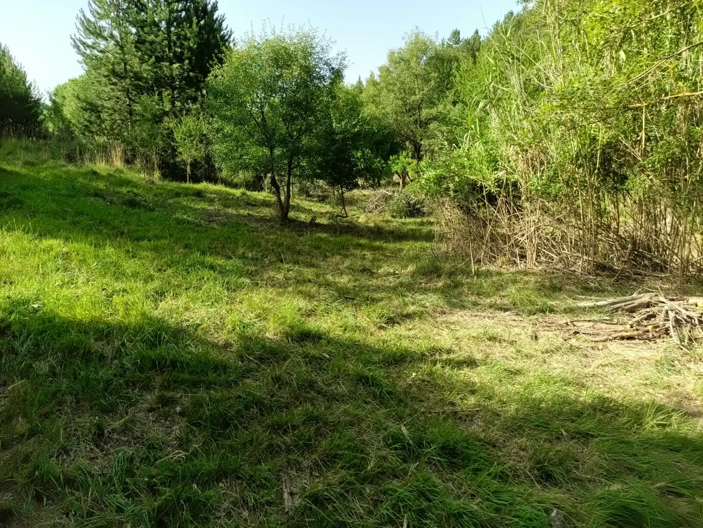 Terreno en venta en Lerga