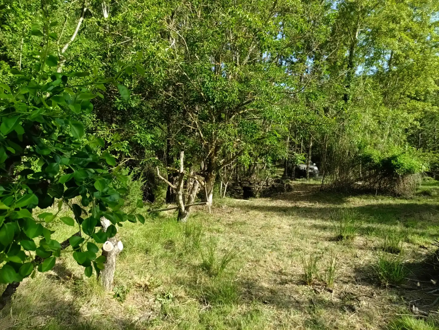 Terreno en venta en Lerga