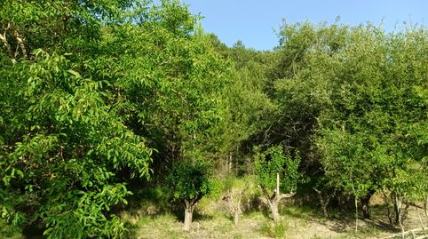 Land for sale in Calle San Francisco Javier, 3, Lerga, Navarra - image 4 Photo 4 of Land for sale in Calle San Francisco Javier, 3, Lerga, Navarra