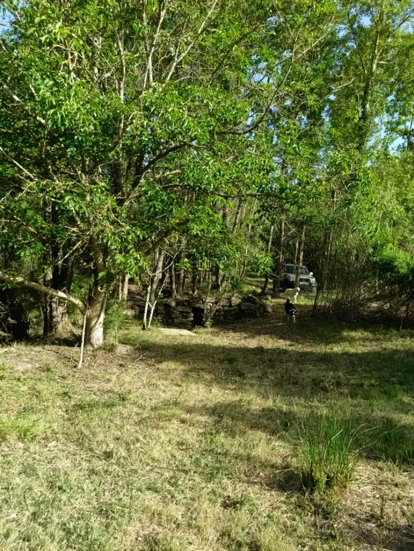 Terreno en venta en Lerga