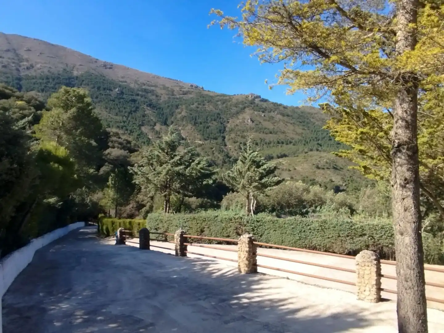 Houses for sale in Cuesta Catena, 22, Los Villares Houses for sale in Cuesta Catena, 22, Los Villares