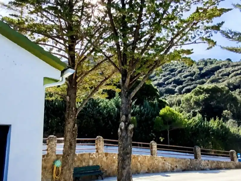 Houses for sale in Cuesta Catena, 22, Los Villares Houses for sale in Cuesta Catena, 22, Los Villares