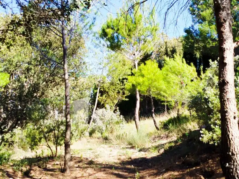Houses for sale in Cuesta Catena, 22, Los Villares Houses for sale in Cuesta Catena, 22, Los Villares