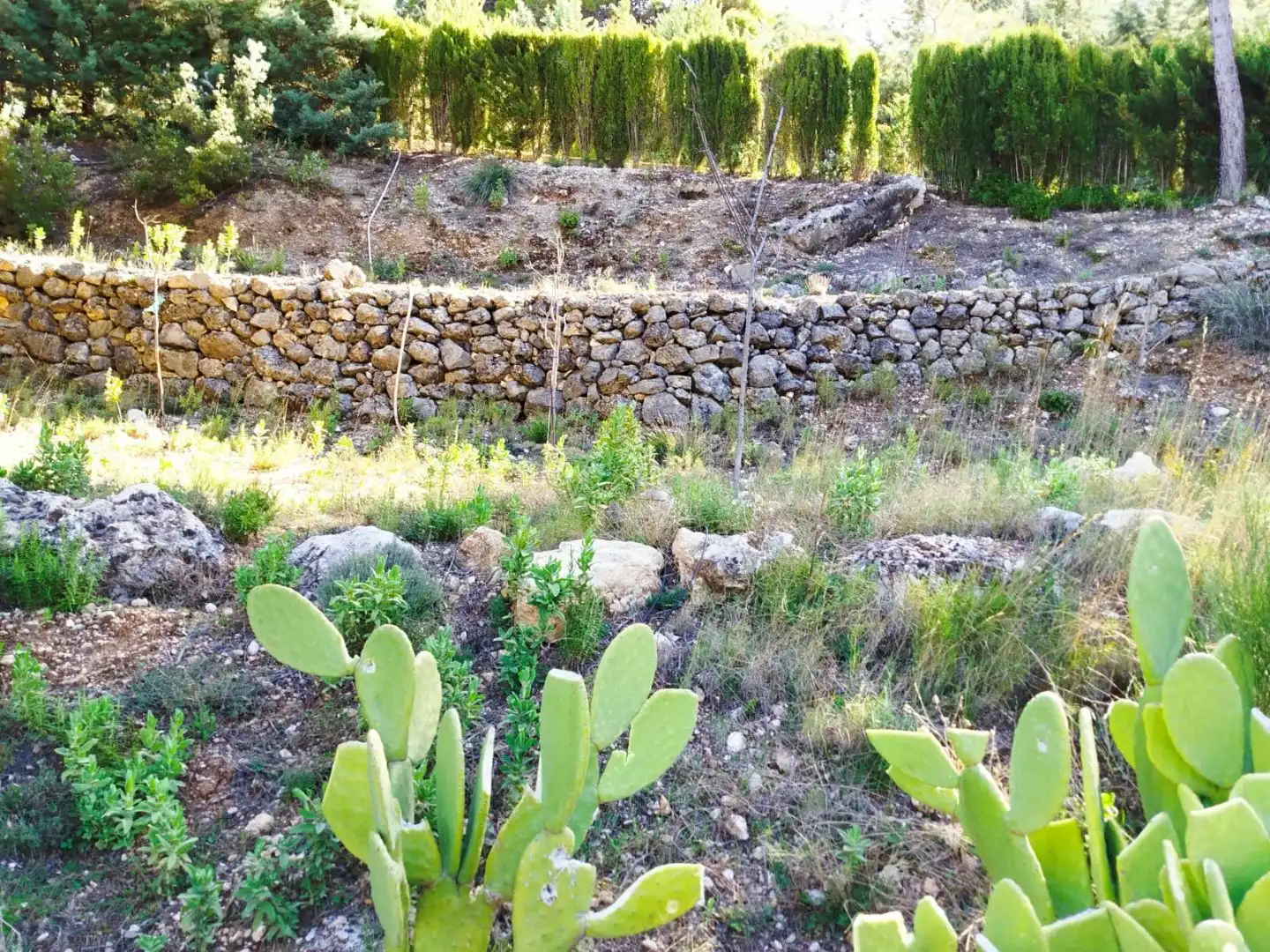 Houses for sale in Cuesta Catena, 22, Los Villares Houses for sale in Cuesta Catena, 22, Los Villares