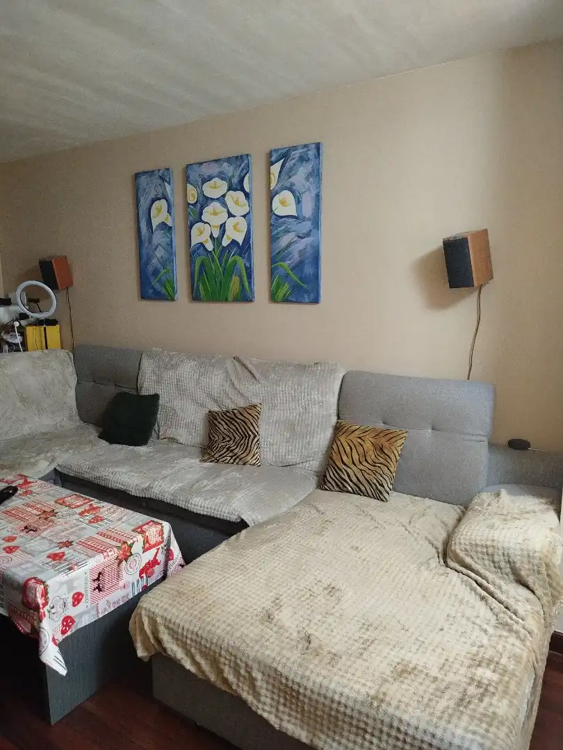 Piso en venta en Barrio el Callejo, 9, Liencres Sala de estar de Piso en venta en Piélagos con Calefacción, Jardín privado y Parquet
