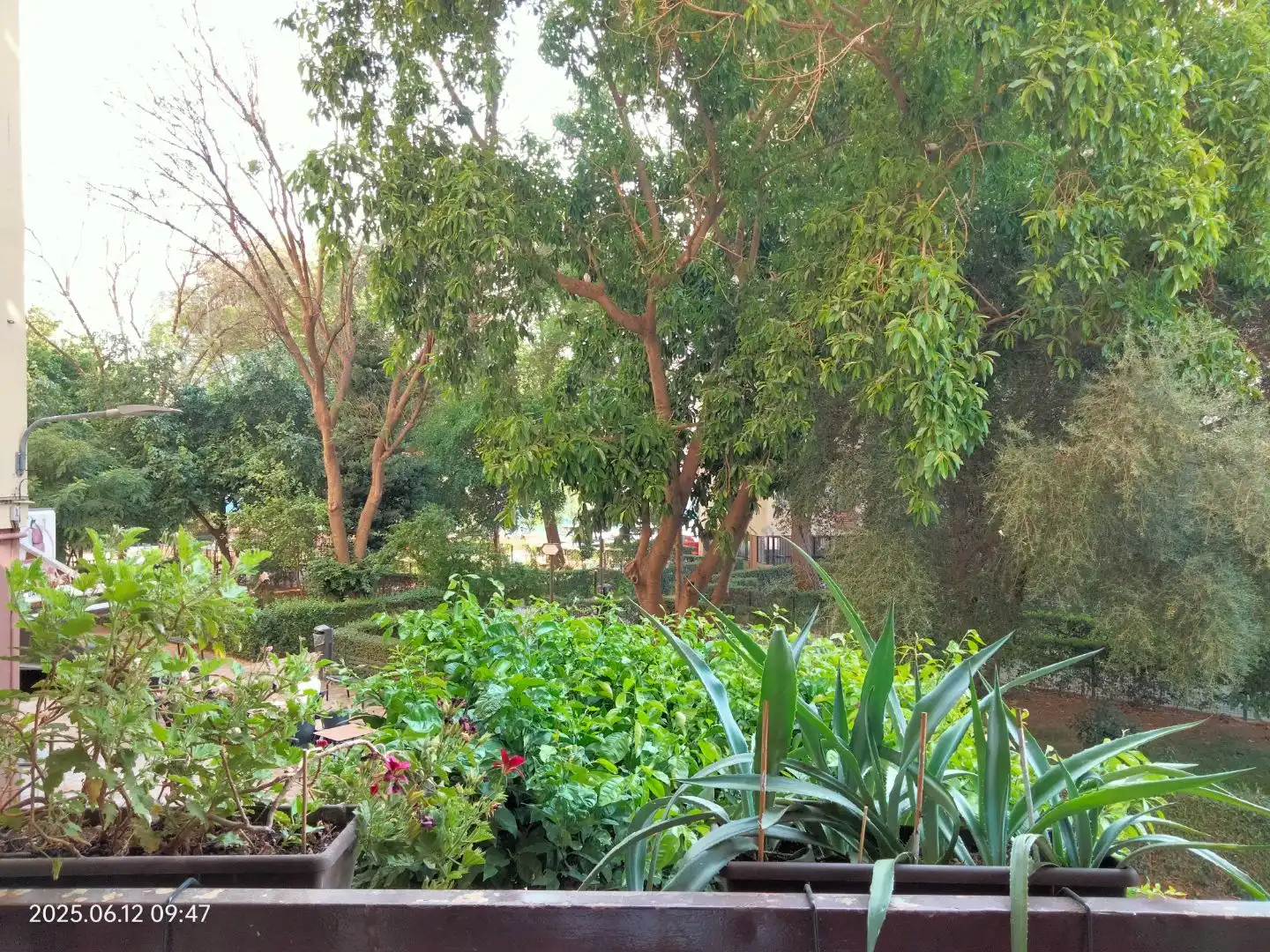 Flat for sale in Calle Toledo, 1, Sevilla Capital Garden of Flat for sale in Sevilla Capital with Air Conditioner, Terrace and Balcony