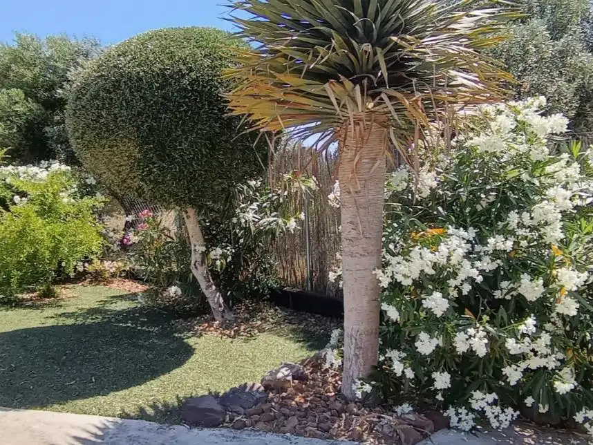 Finca rústica en venda a Venta las Carretas, 1, Parque Atlántico - Ronda este Jardí de Finca rústica en venda en Jerez de la Frontera amb Aire condicionat i Calefacció