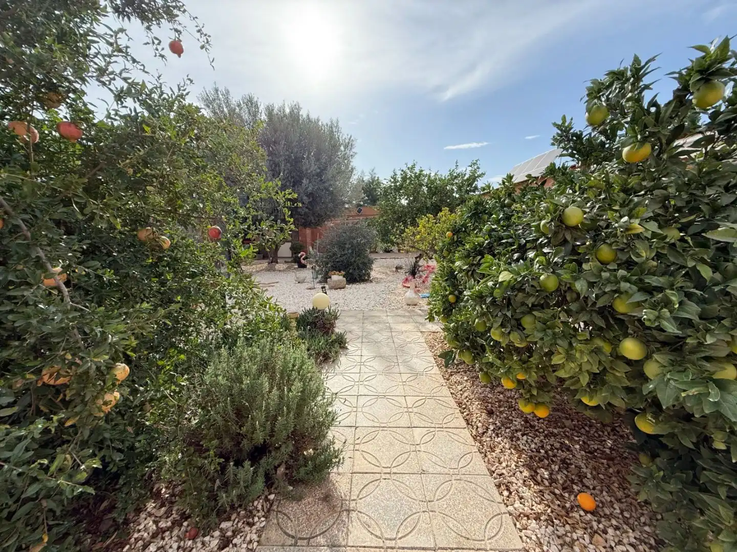 Jardí de Finca rústica en venda en Murcia amb Calefacció, Jardí privat i Terrassa