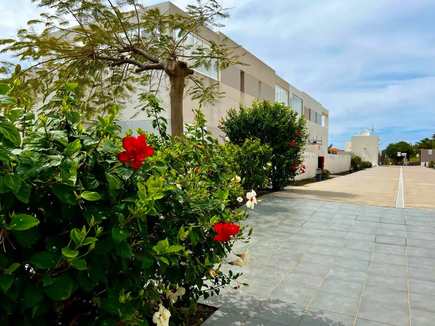Einfamilien-Reihenhaus zum Verkauf in Paseo Obispo Pildain, 6, Agaete Außenansicht von Einfamilien-Reihenhaus zum Verkauf in Agaete mit Terrasse, Schwimmbad und Balkon