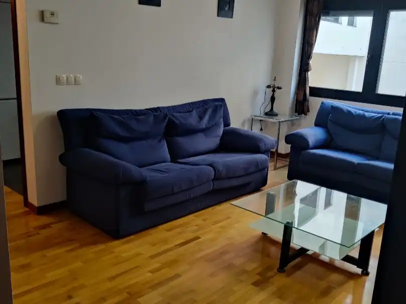 Flat for rent in Rúa O Picho, 3, Elviña - A Zapateira Living room of Flat for rent in A Coruña Capital with Heating, Parquet flooring and Storage room