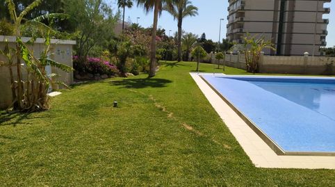 Estudio de alquiler en Plaza Playa Paraíso, 1, Aguadulce Sur, Roquetas de Mar - imagen 4 Foto 4 de Estudio de alquiler en Plaza Playa Paraíso, 1, Aguadulce Sur, Roquetas de Mar
